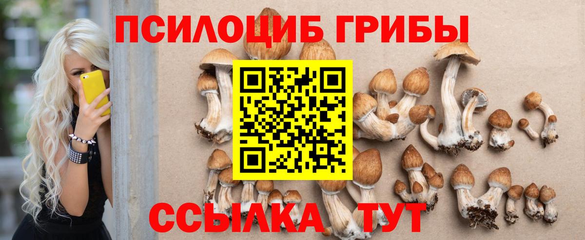 Кашира  Галлюциногенные грибы Psilocybe  Галлюциногенные грибы ЛСД  Вход с VPN 